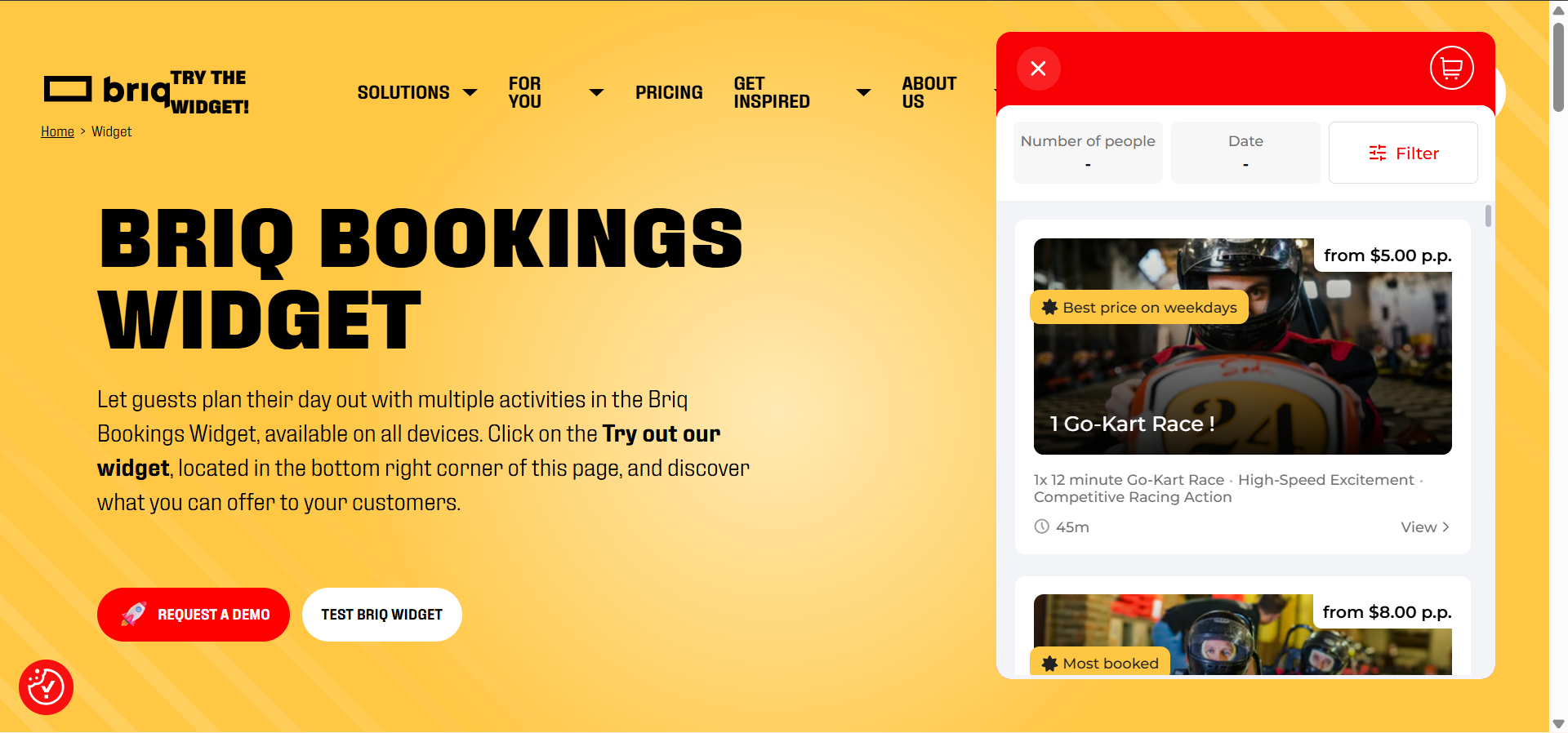 BriqBookings widget showcase