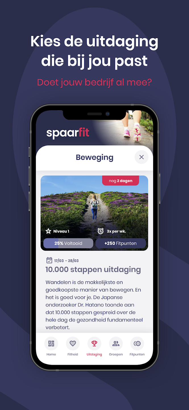 Placeholder for second detail image of SpaarFit project